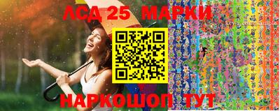 дмт Новозыбков