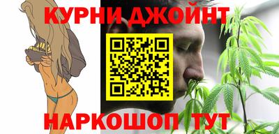 тгк Новокубанск