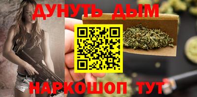 мдпв Новодвинск