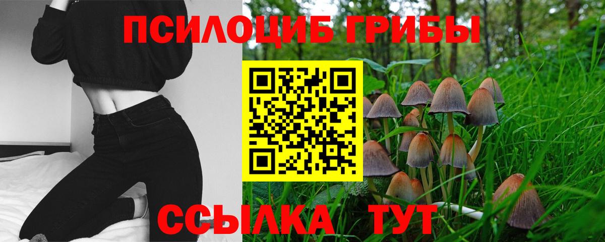 Псилоцибиновые грибы ЛСД  Вход с VPN  Тамбов  Псилоцибиновые грибы мицелий 
