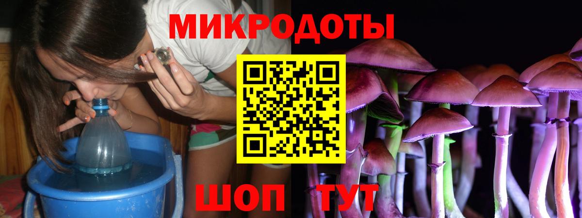 Псилоцибиновые грибы прущие грибы Тамбов
